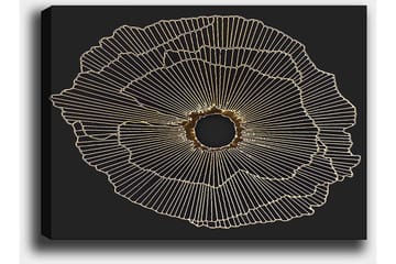 Canvastavla 70x100 cm - Abstrakt blomma med guldlinjer på svart bakgrund - Guld / Svart - Inredning - Tavlor & posters - Canvastavla