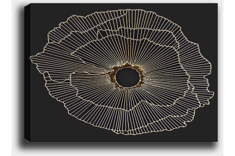 Canvastavla 70x100 cm - Abstrakt blomma med guldlinjer på svart bakgrund - Guld / Svart - Inredning - Tavlor & posters - Canvastavla