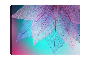 Canvastavla 70x100 cm - Abstrakt komposition av genomskinliga blad med en harmonisk färgpalett - Lila / Turkos / Rosa - Inredning - Tavlor & posters - Canvastavla