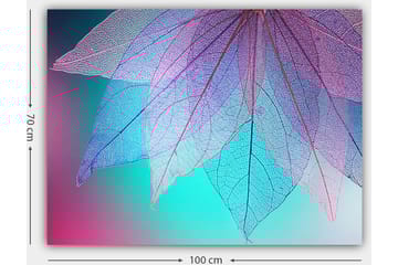 Canvastavla 70x100 cm - Abstrakt komposition av genomskinliga blad med en harmonisk färgpalett - Lila / Turkos / Rosa - Inredning - Tavlor & posters - Canvastavla