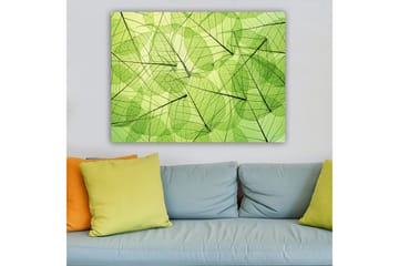 Canvastavla 70x100 cm - Abstrakt komposition av genomskinliga löv i olika nyanser av grönt - Ljusgrön / Mörkgrön / Svart - Inredning - Tavlor & posters - Canvastavla