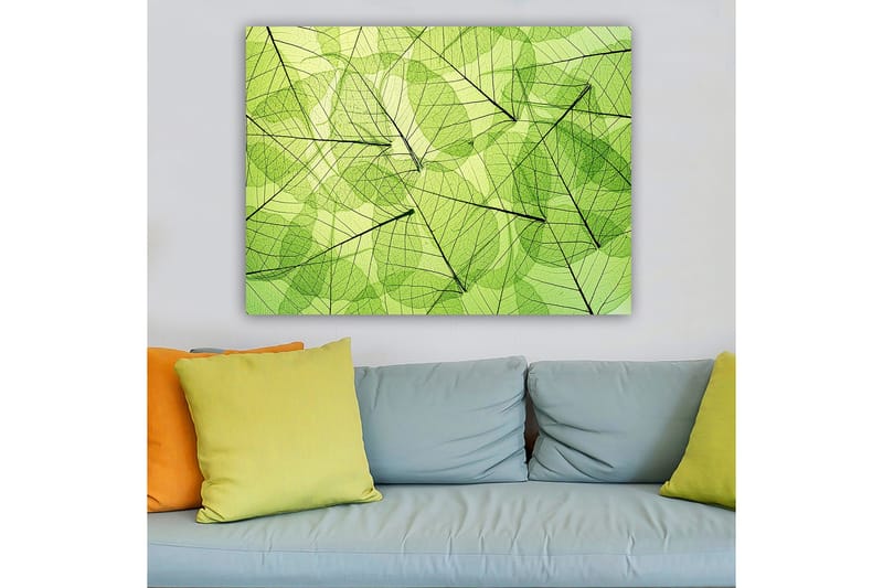 Canvastavla 70x100 cm - Abstrakt komposition av genomskinliga löv i olika nyanser av grönt - Ljusgrön / Mörkgrön / Svart - Inredning - Tavlor & posters - Canvastavla