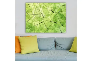 Canvastavla 70x100 cm - Abstrakt komposition av genomskinliga löv i olika nyanser av grönt - Ljusgrön / Mörkgrön / Svart - Inredning - Tavlor & posters - Canvastavla