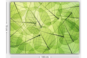 Canvastavla 70x100 cm - Abstrakt komposition av genomskinliga löv i olika nyanser av grönt - Ljusgrön / Mörkgrön / Svart - Inredning - Tavlor & posters - Canvastavla