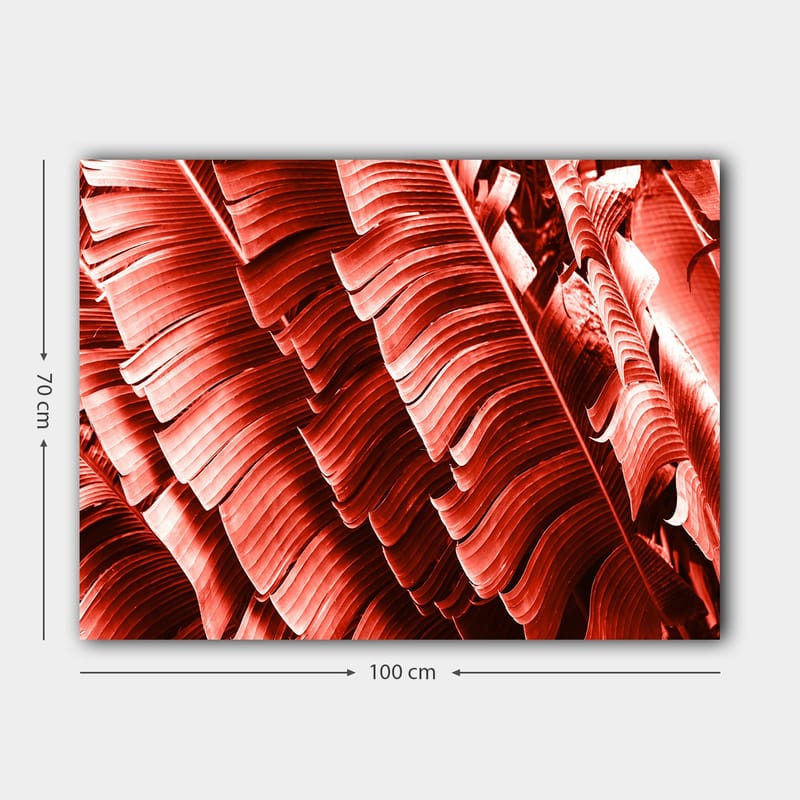 Canvastavla 70x100 cm - Abstrakt komposition av växtblad i djupa röda nyanser - Röd / Mörkröd - Inredning - Tavlor & posters - Canvastavla