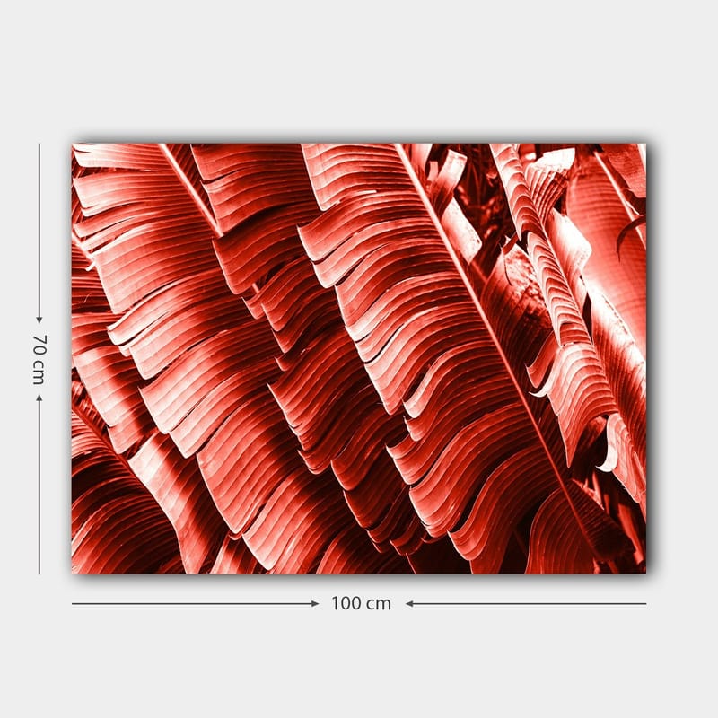 Canvastavla 70x100 cm - Abstrakt komposition av växtblad i djupa röda nyanser - Röd / Mörkröd - Inredning - Tavlor & posters - Canvastavla