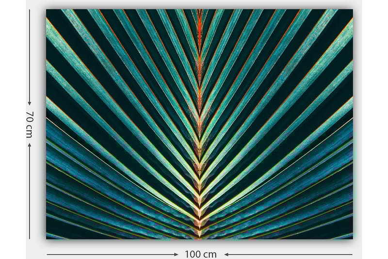Canvastavla 70x100 cm - Abstrakt komposition av palmblad med tydliga linjer och symmetri - Mörkgrön / Turkos / Orange - Inredning - Tavlor & posters - Canvastavla