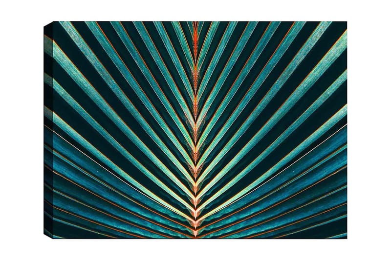 Canvastavla 70x100 cm - Abstrakt komposition av palmblad med tydliga linjer och symmetri, Mörkgrön / Turkos / Orange