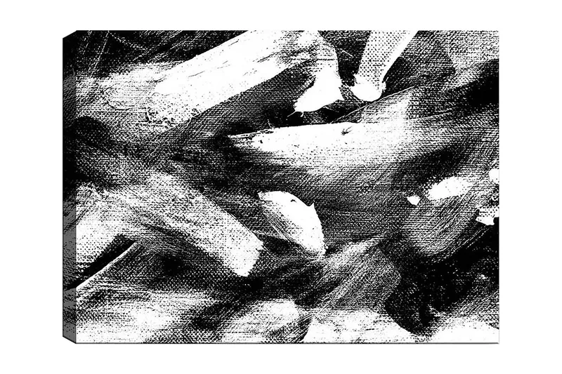 Canvastavla 70x100 cm - Abstrakt komposition med kraftfulla svarta och vita penseldrag, Svart / Vit