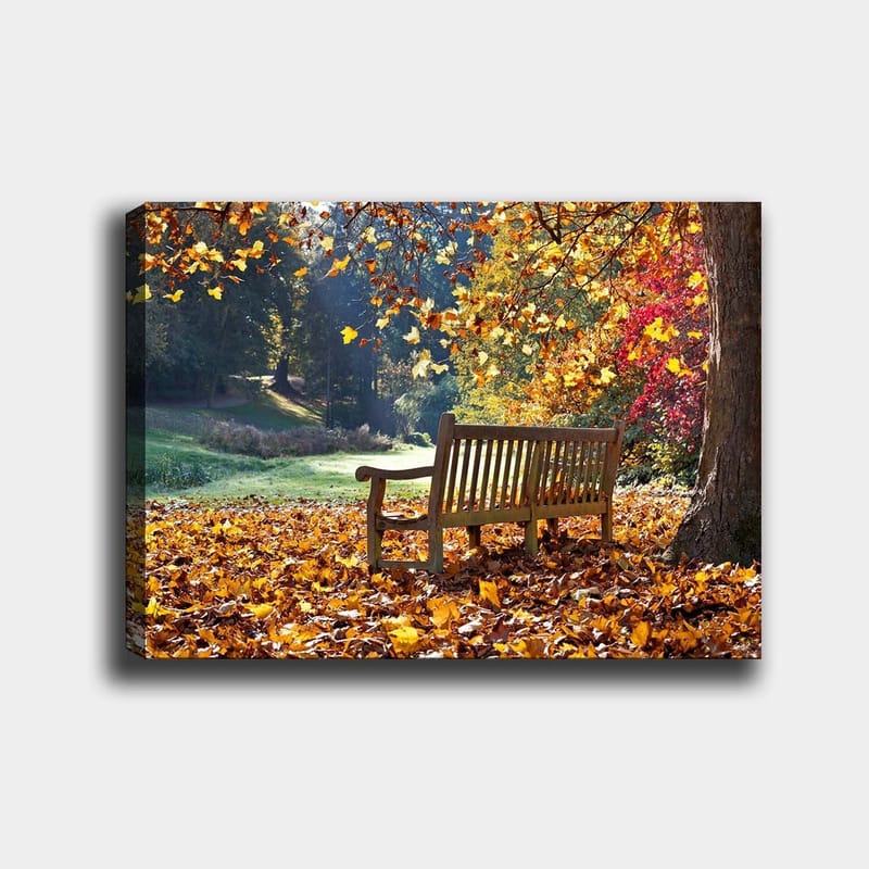 Canvastavla 70x100 cm - Bänk omgiven av färgglada höstlöv i en naturskön miljö, Orange / Gul / Röd