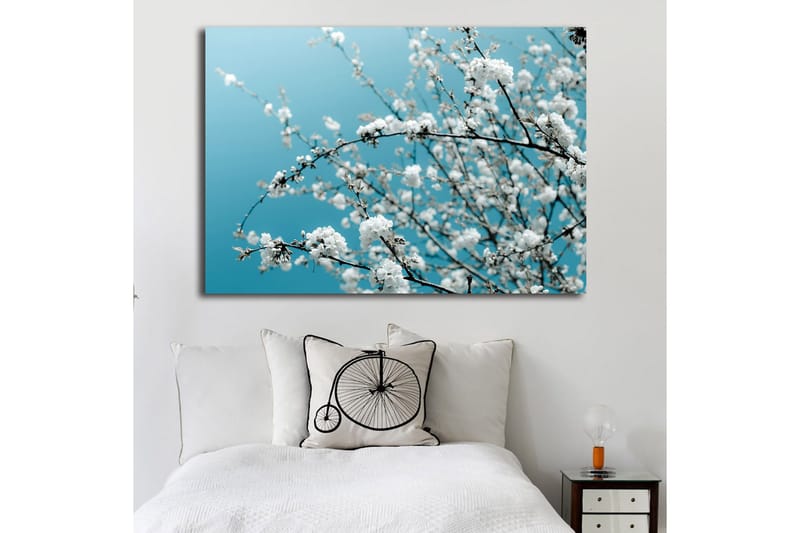 Canvastavla 70x100 cm - Blommande grenar mot en klar, blå bakgrund - Vit / Ljusblå - Inredning - Tavlor & posters - Canvastavla