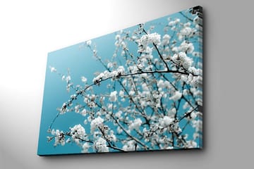 Canvastavla 70x100 cm - Blommande grenar mot en klar, blå bakgrund - Vit / Ljusblå - Inredning - Tavlor & posters - Canvastavla