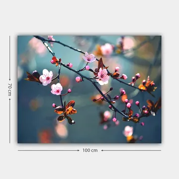 Canvastavla 70x100 cm - Blommande körsbärsgrenar med rosa blommor och bruna blad - Rosa / Brun / Grön - Inredning - Tavlor & posters - Canvastavla