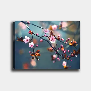 Canvastavla 70x100 cm - Blommande körsbärsgrenar med rosa blommor och bruna blad - Rosa / Brun / Grön - Inredning - Tavlor & posters - Canvastavla