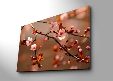 Canvastavla 70x100 cm - Blommande körsbärsgrenar med rosa blommor och bruna blad - Rosa / Brun - Inredning - Tavlor & posters - Canvastavla