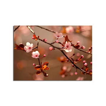 Canvastavla 70x100 cm - Blommande körsbärsgrenar med rosa blommor och bruna blad - Rosa / Brun - Inredning - Tavlor & posters - Canvastavla