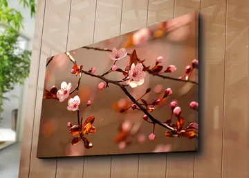 Canvastavla 70x100 cm - Blommande körsbärsgrenar med rosa blommor och bruna blad - Rosa / Brun - Inredning - Tavlor & posters - Canvastavla