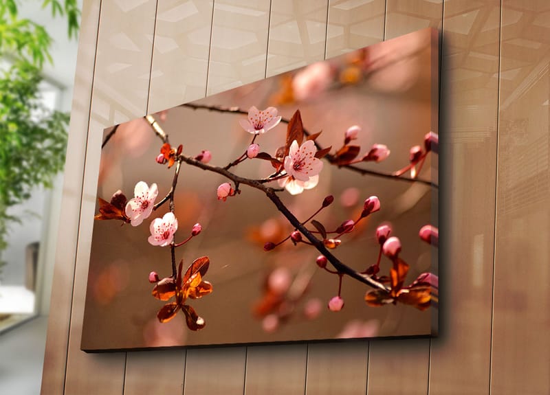 Canvastavla 70x100 cm - Blommande körsbärsgrenar med rosa blommor och bruna blad - Rosa / Brun - Inredning - Tavlor & posters - Canvastavla