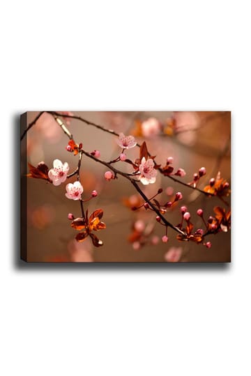 Canvastavla 70x100 cm - Blommande körsbärsgrenar med rosa blommor och knoppar - Rosa / Brun / Mörkröd - Inredning - Tavlor & posters - Canvastavla