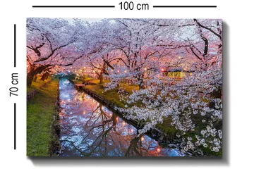 Canvastavla 70x100 cm - Blommande körsbärsträd vid en stilla kanal i skymningen - Rosa / Vitt / Grönt - Inredning - Tavlor & posters - Canvastavla