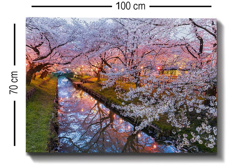 Canvastavla 70x100 cm - Blommande körsbärsträd vid en stilla kanal i skymningen - Rosa / Vitt / Grönt - Inredning - Tavlor & posters - Canvastavla