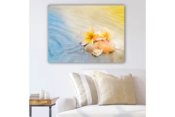 Canvastavla 70x100 cm - Blommor och snäckor på en strand med mjuka sand- och havsfärger - Blå / Gul / Rosa - Inredning - Tavlor & posters - Canvastavla