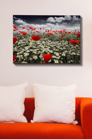 Canvastavla 70x100 cm - Blomsteräng med röda vallmo och vita prästkragar som skapar en kontrasterande och livfull komposition - Röd / Vit - Inredning - Tavlor & posters - Canvastavla