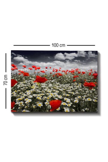 Canvastavla 70x100 cm - Blomsteräng med röda vallmo och vita prästkragar som skapar en kontrasterande och livfull komposition - Röd / Vit - Inredning - Tavlor & posters - Canvastavla