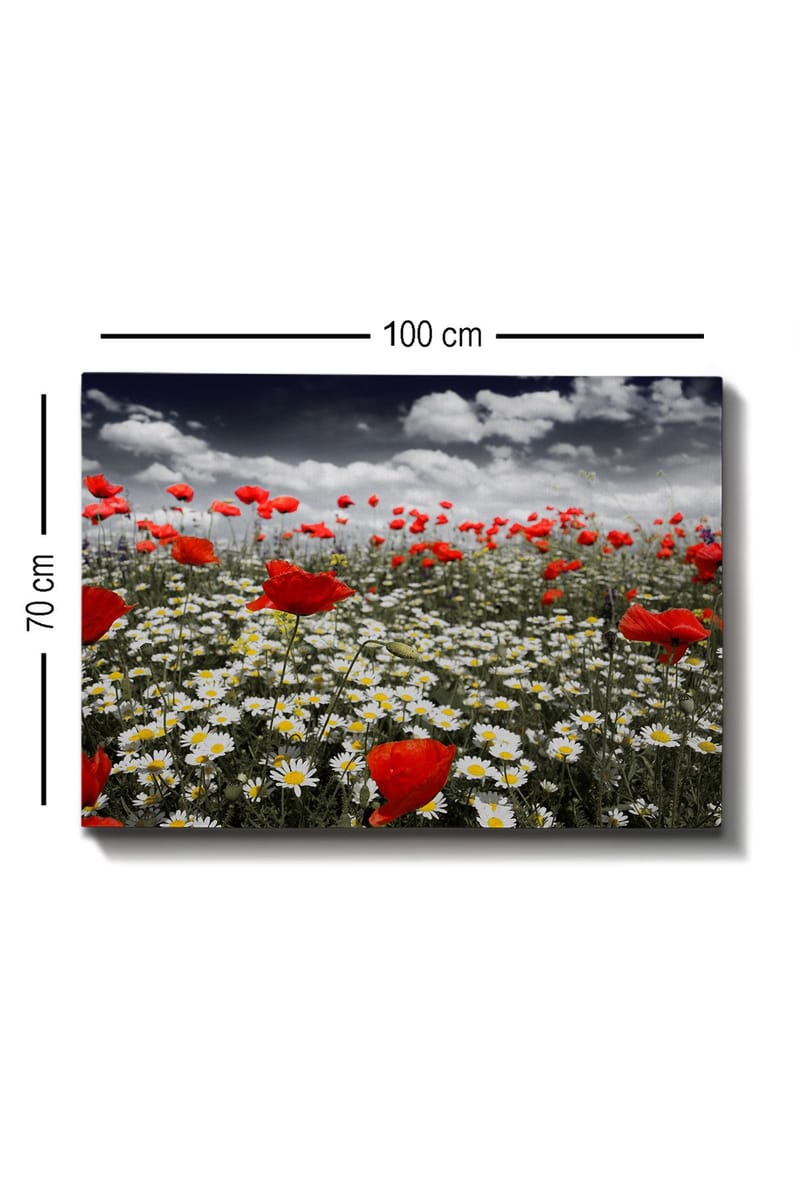 Canvastavla 70x100 cm - Blomsteräng med röda vallmo och vita prästkragar som skapar en kontrasterande och livfull komposition - Röd / Vit - Inredning - Tavlor & posters - Canvastavla