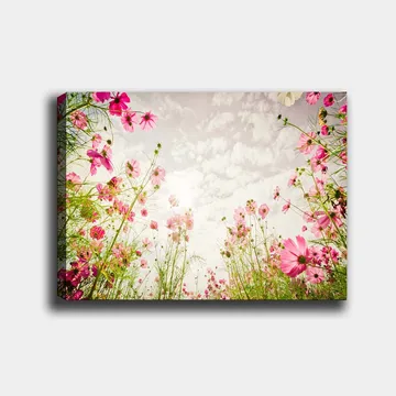 Canvastavla 70x100 cm - Blomstrande äng med rosa blommor som sträcker sig mot en ljus himmel - Rosa / Grön - Inredning - Tavlor & posters - Canvastavla