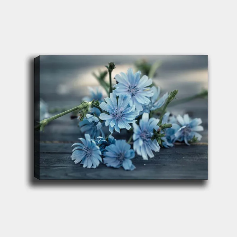 Canvastavla 70x100 cm - Bukett av ljusblå blommor som ligger på en mörk yta, Ljusblå / Grön