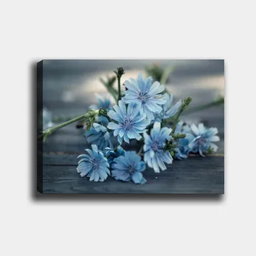 Canvastavla 70x100 cm - Bukett av ljusblå blommor som ligger på en mörk yta - Ljusblå / Grön - Inredning - Tavlor & posters - Canvastavla