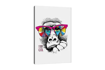 Canvastavla 70x100 cm - Cool gorilla med färgglada solglasögon som uttrycker en avslappnad attityd - Rosa / Gul / Blå - Inredning - Tavlor & posters - Canvastavla