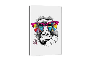 Canvastavla 70x100 cm - Cool gorilla med färgglada solglasögon som uttrycker en avslappnad attityd - Rosa / Gul / Blå - Inredning - Tavlor & posters - Canvastavla