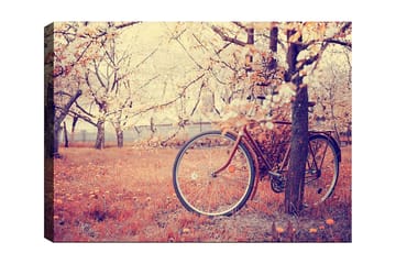 Canvastavla 70x100 cm - Cykel lutad mot ett träd i en blomstrande fruktträdgård under våren - Orange / Brun / Grå - Inredning - Tavlor & posters - Canvastavla