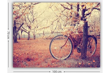 Canvastavla 70x100 cm - Cykel lutad mot ett träd i en blomstrande fruktträdgård under våren - Orange / Brun / Grå - Inredning - Tavlor & posters - Canvastavla