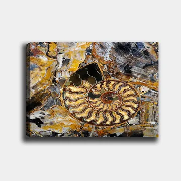 Canvastavla 70x100 cm - Detaljerad avbildning av en snäcka med en spiralformad struktur - Guld / Brunt / Svart - Inredning - Tavlor & posters - Canvastavla