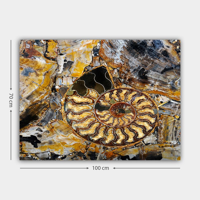 Canvastavla 70x100 cm - Detaljerad avbildning av en snäcka med en spiralformad struktur - Guld / Brunt / Svart - Inredning - Tavlor & posters - Canvastavla