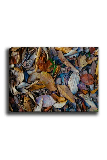 Canvastavla 70x100 cm - Detaljrik samling av torkade löv i olika nyanser som skapar en naturlig textur - Brun / Beige / Grön - Inredning - Tavlor & posters - Canvastavla