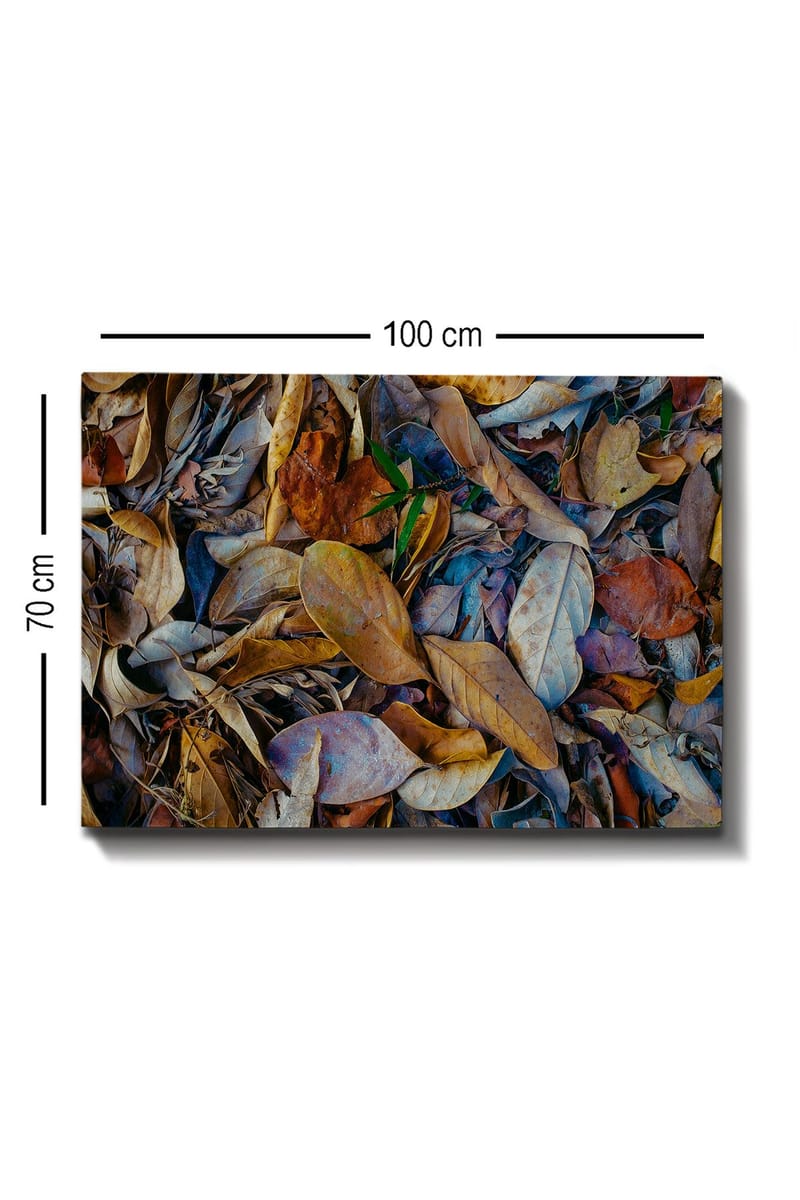 Canvastavla 70x100 cm - Detaljrik samling av torkade löv i olika nyanser som skapar en naturlig textur - Brun / Beige / Grön - Inredning - Tavlor & posters - Canvastavla