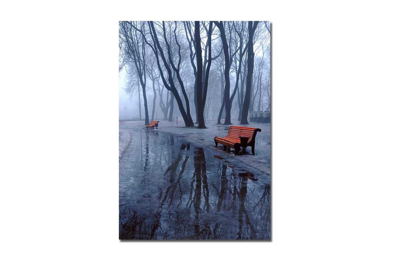 Canvastavla 70x100 cm - Dimmig park med två orange bänkar omgivna av kalla, nakna träd - Orange / Blå / Grå - Inredning - Tavlor & posters - Canvastavla