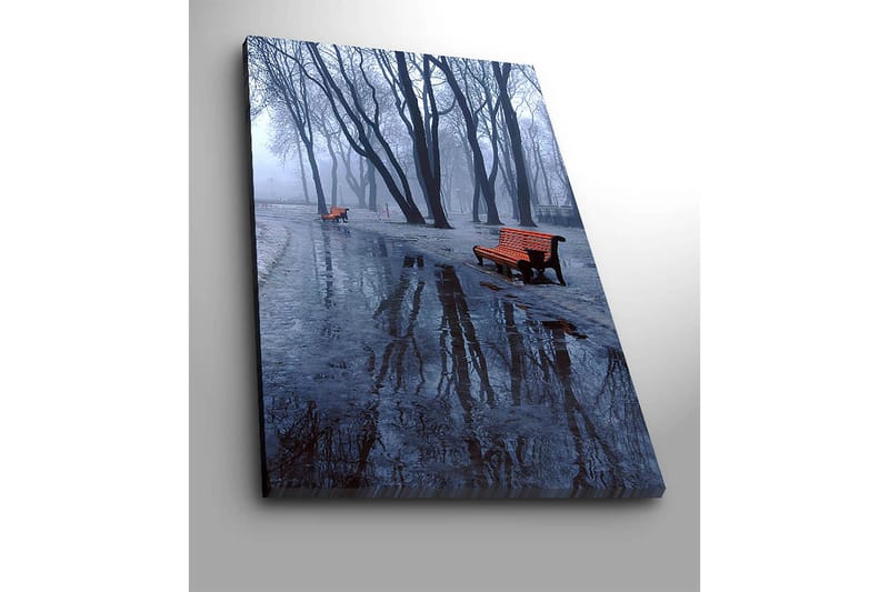 Canvastavla 70x100 cm - Dimmig park med två orange bänkar omgivna av kalla, nakna träd - Orange / Blå / Grå - Inredning - Tavlor & posters - Canvastavla