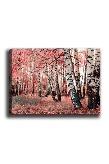 Canvastavla 70x100 cm - Drömlik skog med björkar omgivna av rosa och röda löv - Rosa / Vit / Svart - Inredning - Tavlor & posters - Canvastavla