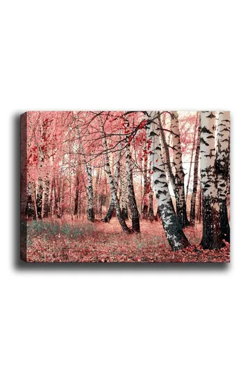 Canvastavla 70x100 cm - Drömlik skog med björkar omgivna av rosa och röda löv - Rosa / Vit / Svart - Inredning - Tavlor & posters - Canvastavla