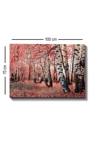 Canvastavla 70x100 cm - Drömlik skog med björkar omgivna av rosa och röda löv - Rosa / Vit / Svart - Inredning - Tavlor & posters - Canvastavla