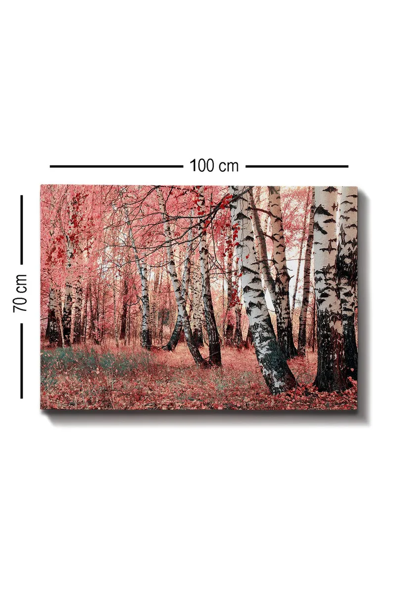 Canvastavla 70x100 cm - Drömlik skog med björkar omgivna av rosa och röda löv - Rosa / Vit / Svart - Inredning - Tavlor & posters - Canvastavla