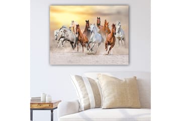 Canvastavla 70x100 cm - Dynamisk skildring av flera hästar som galopperar i en sandig miljö - Vit / Brun / Grå - Inredning - Tavlor & posters - Canvastavla