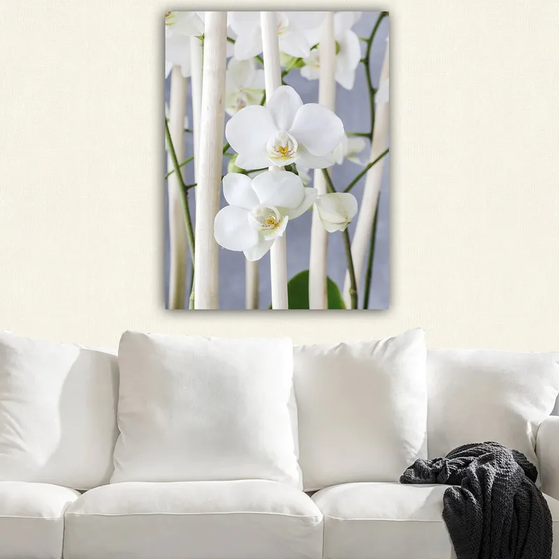 Canvastavla 70x100 cm - Elegant komposition av vita orkidéer som växer mellan ljusa stammar - Vit / Grön - Inredning - Tavlor & posters - Canvastavla