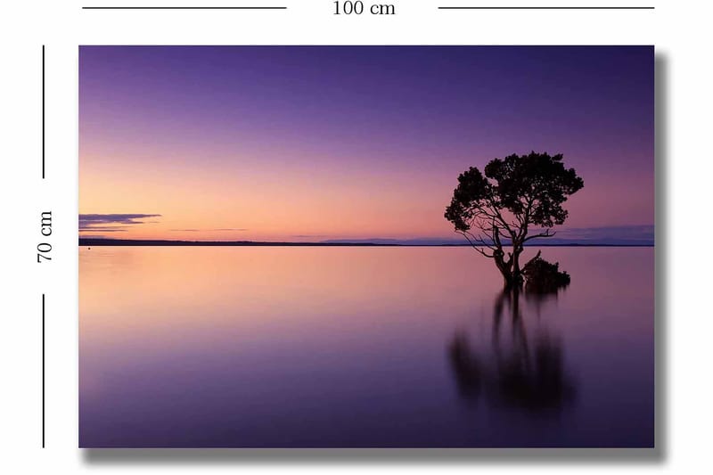 Canvastavla 70x100 cm - Ensam trädkrona speglar sig i en stilla sjö under en färgsprakande himmel vid skymning - Lila / Orange / Svart - Inredning - Tavlor & posters - Canvastavla