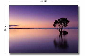 Canvastavla 70x100 cm - Ensam trädkrona speglar sig i en stilla sjö under en färgsprakande himmel vid skymning - Lila / Orange / Svart - Inredning - Tavlor & posters - Canvastavla